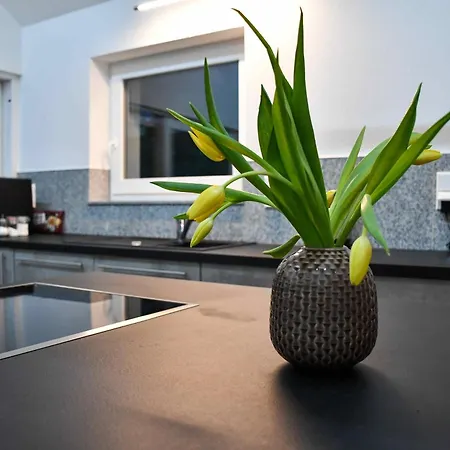 Schroedter Appartement Schramberg