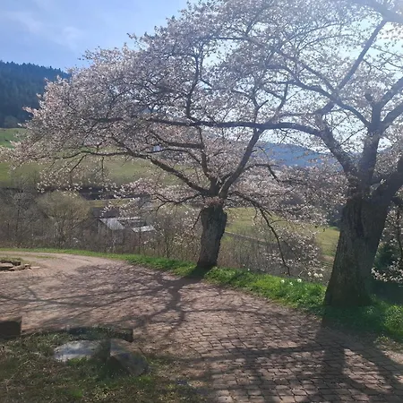 Schroedter Apartman Schramberg