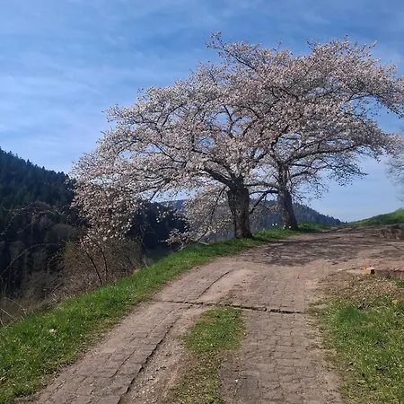 Schroedter Lägenhet