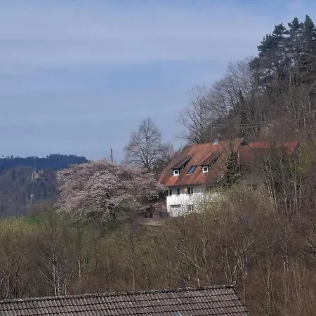 Schroedter