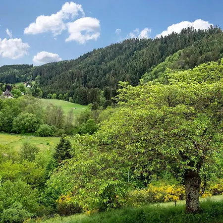 Lägenhet Schroedter Schramberg